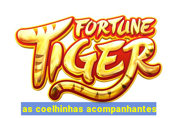 as coelhinhas acompanhantes